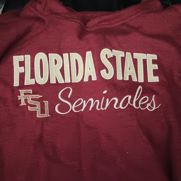 college florida state seminales hoodie - Picture 1 of 1